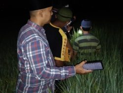 Naas Saat Mencari Rumput, Warga Pringsewu Tewas Tersambar Petir