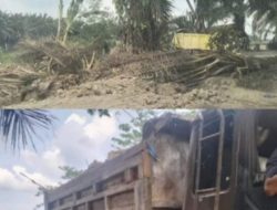 Usaha Galian C Ilegal Dugaan MiLik Kepala Desa Binjai Bakung Makin Merajalela Beroperasi