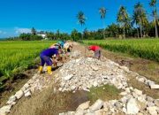 Dana Desa Tahap 1 Pekon Kresnomulyo Realisasikan Pembangunan Jalan