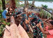 Panen Sagu Bersama Menambah Kedekatan Personel Satgas Yonif 125/SMB Dengan Masyarakat