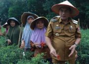 PJ Bupati Lampung Utara Bersama Rombongan Hadir Kegiatan Sektor Pertanian