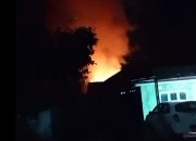 Kandang Ayam di Pringsewu Terbakar, Kerugian Capai Belasan Juta Rupiah