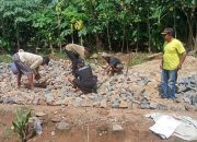 Dana Desa Tahap Satu Totokarto Bangun Jalan Onderlagh