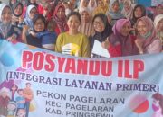 Posyandu ILP Pekon Pagelaran Sosialisasi Kebeberapa Kader
