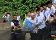 Bupati Pasaman Sabar AS lepaskan bibit ikan garing disungai kampung tongah petok Timur,