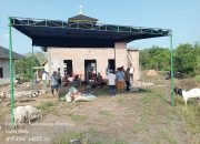 Masjid  Al-kautsar ZA  Belum selesai Pembangunan ,Baru Pertama kali Pemotongan Hewan Kurban Masjid Al-kautsar ZA 