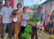 Berjalan Lancar, 365 KK Terima Bibit Cabe dari Pemdes Tondei