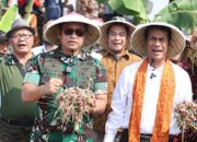 Wakili Petani Indonesia, Mentan RI Ucapkan Terima Kasih Kepada Bapak Pangan