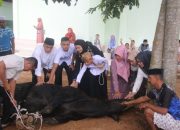 Kodim 0429/Lamtim Sembelih 3 Ekor Sapi Usai Sholat Idul Adha 1445 H