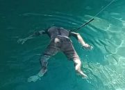 Beberapa Hari Menghilang, Seorang Nelayan Ditemukan Mengambang Di Pelabuham Hibala Nias Selatan