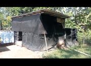 Suhadi Warga Desa Tumbal Comal Hidup di Rumah Dndingkan Plasti