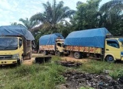 Penangkapan Kayu Ilegal logging oleh Dit Reskrimsus Polda Riau, di Bantu Polsek Kampar Kiri.