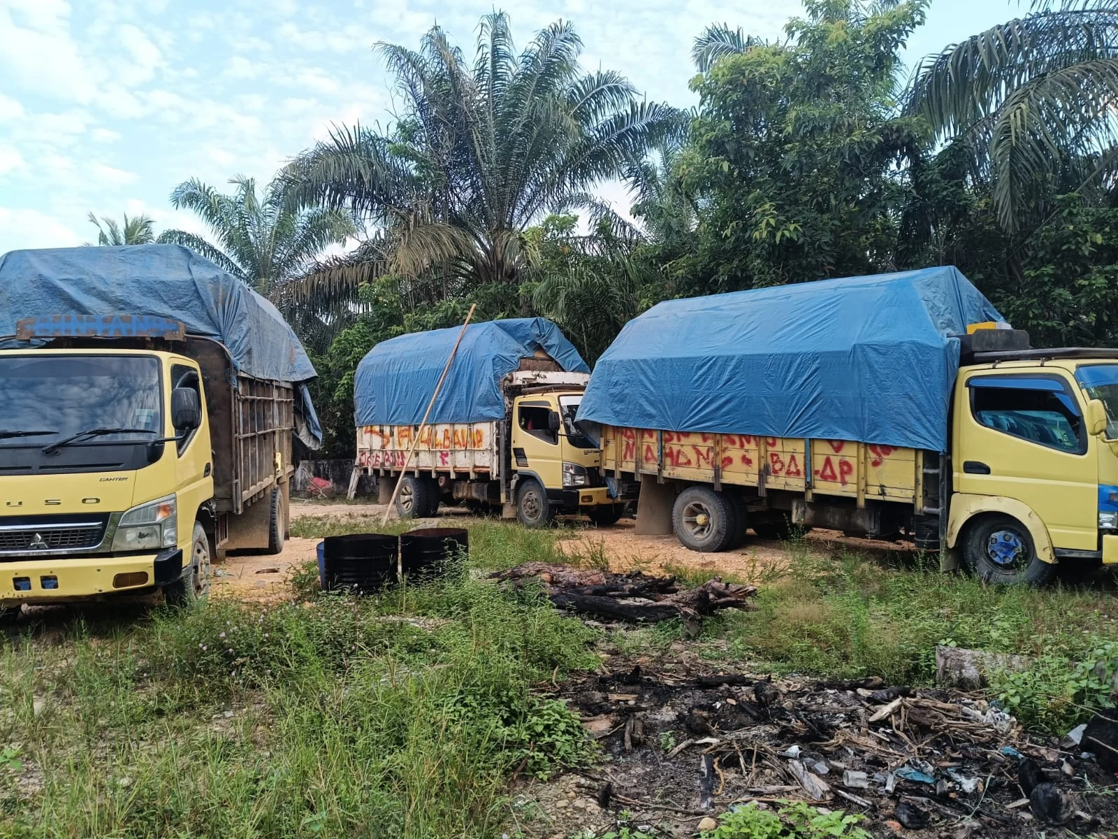 Penangkapan Kayu Ilegal logging oleh Dit Reskrimsus Polda Riau, di Bantu Polsek Kampar Kiri. IMG-20240725-WA0083