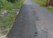 Pecing Aspal. Kepala Desa Sidoarjo II Ramunia Beringin, Ucapkan Terima Kasih Kepada Kepala Dinas SDABMBK Deli Serdang