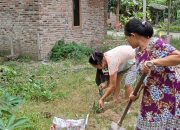 Memanfaatkan Pekarangan Rumah Menjadi Lahan Produktif