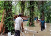 Banjir Tidak Menghalangi Aktivitas Warga&nbsp;