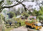 Camat Tanjung Morawa Bersama Dinas SDABMBK Deli Serdang, Lakukan Pemangkasan Pohon Di Jalan Medan — Tanjung Morawa