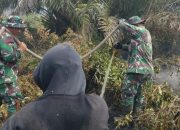 Personel Koramil jajaran Kodim 0321/Rohil bersinergi dengan Tim Gabungan lakukan Verifikasi dan Pemadaman Titik Api di wilayah Kab. Rohil