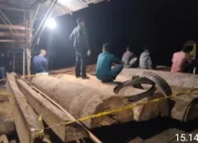 Satreskrim polres Kampar, di Dampingi Kapolsek Siak Hulu Ungkap ilegal logging di Kab.Kampar.