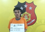 Transaksi Sabu Dikebun Sawit, BA Diciduk Polisi Kualuh Hulu