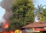 Dilalap Sijago Merah, Satu Buah Rumah Semi Permanen di Kelurahan Simpang kanan&nbsp;