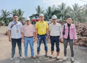 DPD LSM P2 NAPAS Desak Pemda Cepat Selesaikan Konflik di PT.LIN Buntut dari Terbitnya SK Bupati Pasaman Barat 1000 Ton TBS Membusuk