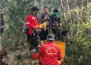 Dibantu Water Bombing, Tim Gabungan Penanggulangan Karhutla Berjibaku Padamkan Api di Indralaya Utara