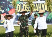Danrem 044/Gapo Penen Raya Di Lempuing, OKI Menjadi Lumbung Pangan Nasional