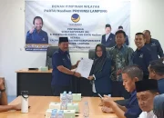 Diusung NasDem dan Demokrat, Elfianah Yugi Maju Pilkada Mesuji