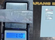 Sat Narkoba Polres Muara Enim Ungkap Kasus Penyalahgunaan Narkoba di Desa Simpang Tanjung