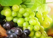 Makanan Sehat, Apalagi Buah Anggur Turunkan Resiko Darah Tinggi