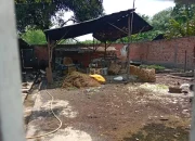 Pemukiman Warga RT 06 Desa Suka Menang Kec.Gelumbang Keluhkan Bau Tak Sedap Dari  Kandang Sapi 
