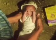 Warga Gelumbang Heboh Penemuan Bayi di Kebun Karet Warga