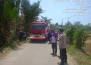 Akibat Pungtung, Area Tanaman Sagu di Pekalongan Terbakar
