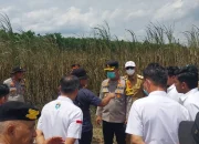 Kebakaran Lahan di Perkebunan Tebu PTPN VII Cinta Manis, Ditreskrimsus Polda Sumsel dan Polres Ogan Ilir Lakukan Pengawasan Serta Penyelidikan