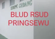 Atas dugaan Kekurangan Volume Anggaran Kegiatan BLUD RSUD Pringsewu 2023, Uangnya Sudah Dipulangkan ke Rekening BLUD