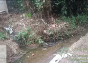 DLH Ayo Bertindak, Limbah Kotoran Ayam di Buang Kebahu Jalan Warga Desa Pelempang Resah