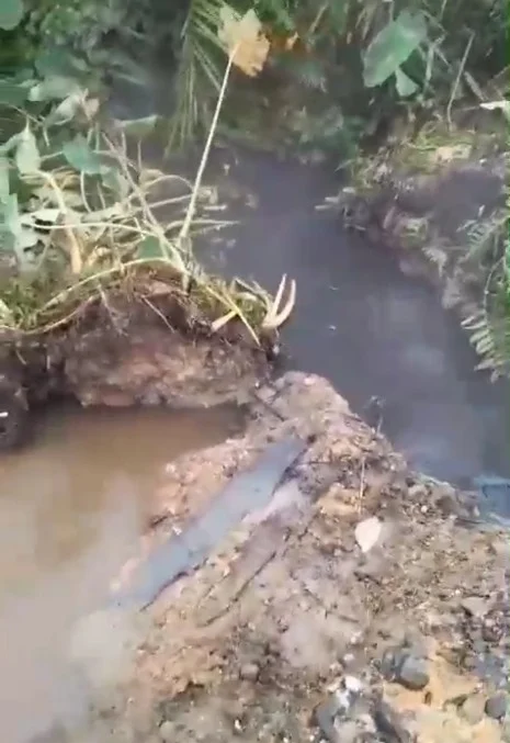 Screenshot_2024_0919_085618