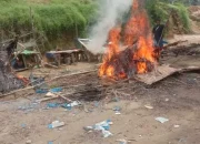 Polsek Kualuh Hulu, Rubuhkan Gubuk Sarang Narkoba 