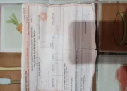 Penyerobotan Tanah Milik Warga Desa Guci Diduga Libatkan Oknum Mantan Perangkat Desa