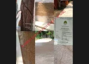 Gawat..! Diduga Pelaksana Pembagunan Jalan Abu Samah “mark-Up”