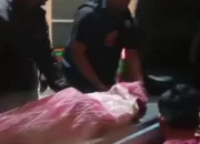 Akibat Pohon Tumbang di Perkemahan Pramuka Kompas Aek Nabara 7 Orang Korban Luka-Luka, 1 Orang Meninggal Dunia
