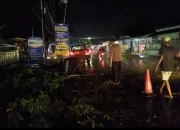 Polisi dan Petugas BPBD Serta Warga Gotong Royong Evakuasi Pohon Tumbang