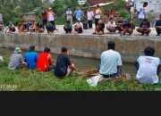 Jangan Golput, Calon Bupati Daerah Pringsewu Nomor Urut 3 Tebar Ikan Lele di Pardasuka