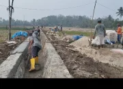 Sukses, Dana Desa Tahap Dua Pekon Blitarejo Bagun Drainase