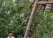 Calon Bupati Terpih H. Riyanto Pamungkas Kunjungi Korban Puting Beliung Pekon Pandansari