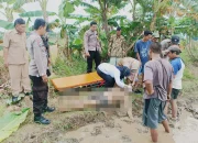 Sesosok Mayat Pria Ditemukan di Area Persawahan Sragi Pekalongan
