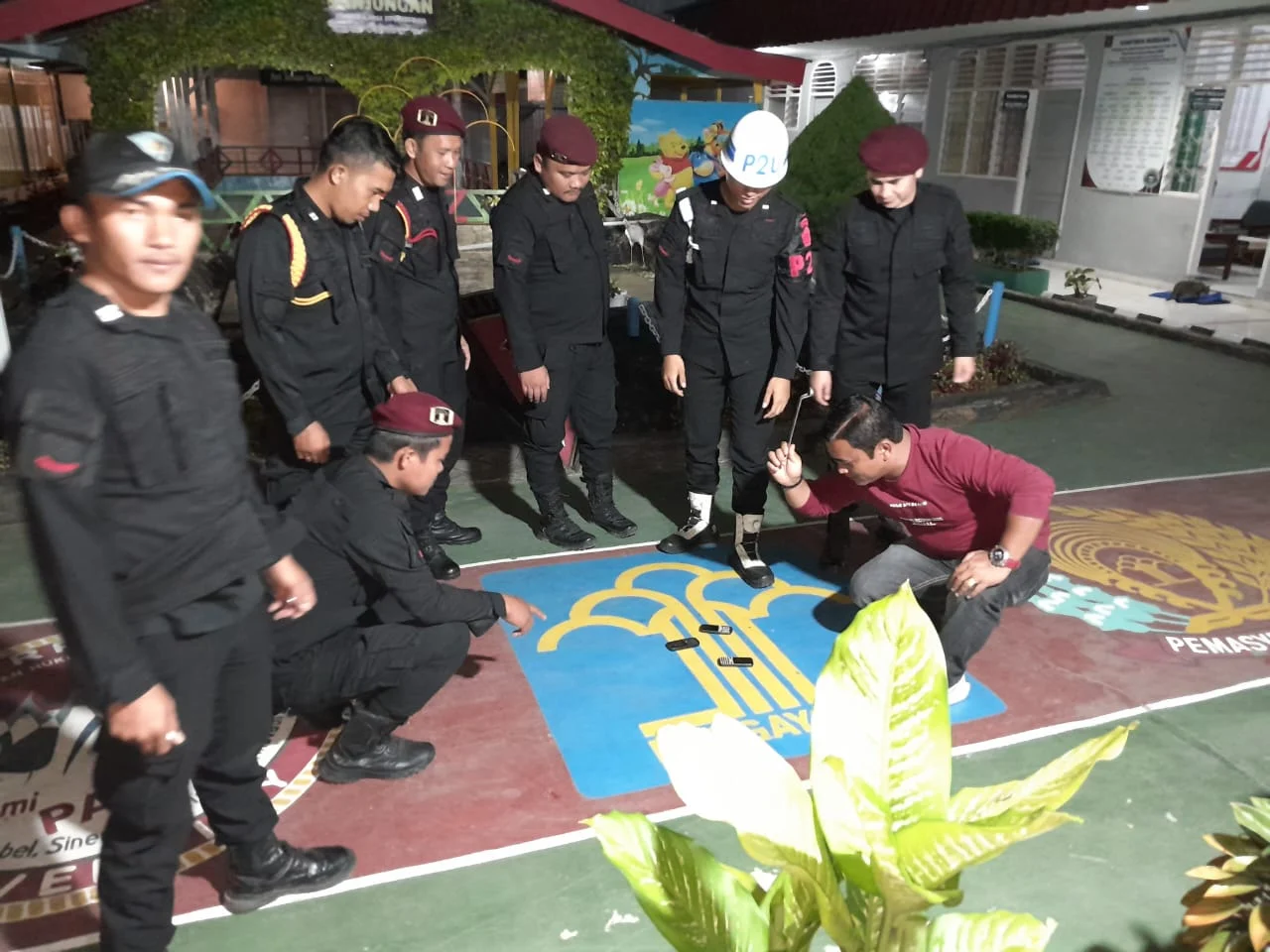 IMG-20241207-WA0314(5)