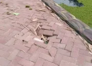 Baru Hitungan Hari Dikerjakan, Pembangunan Taman Sungai Pangkalan Kumpo di Kelurahan Gelumbang Sudah Rusak