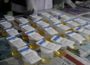 Satuan Jajaran Korem 143/HO Laksanakan Tes Urine Dadakan
